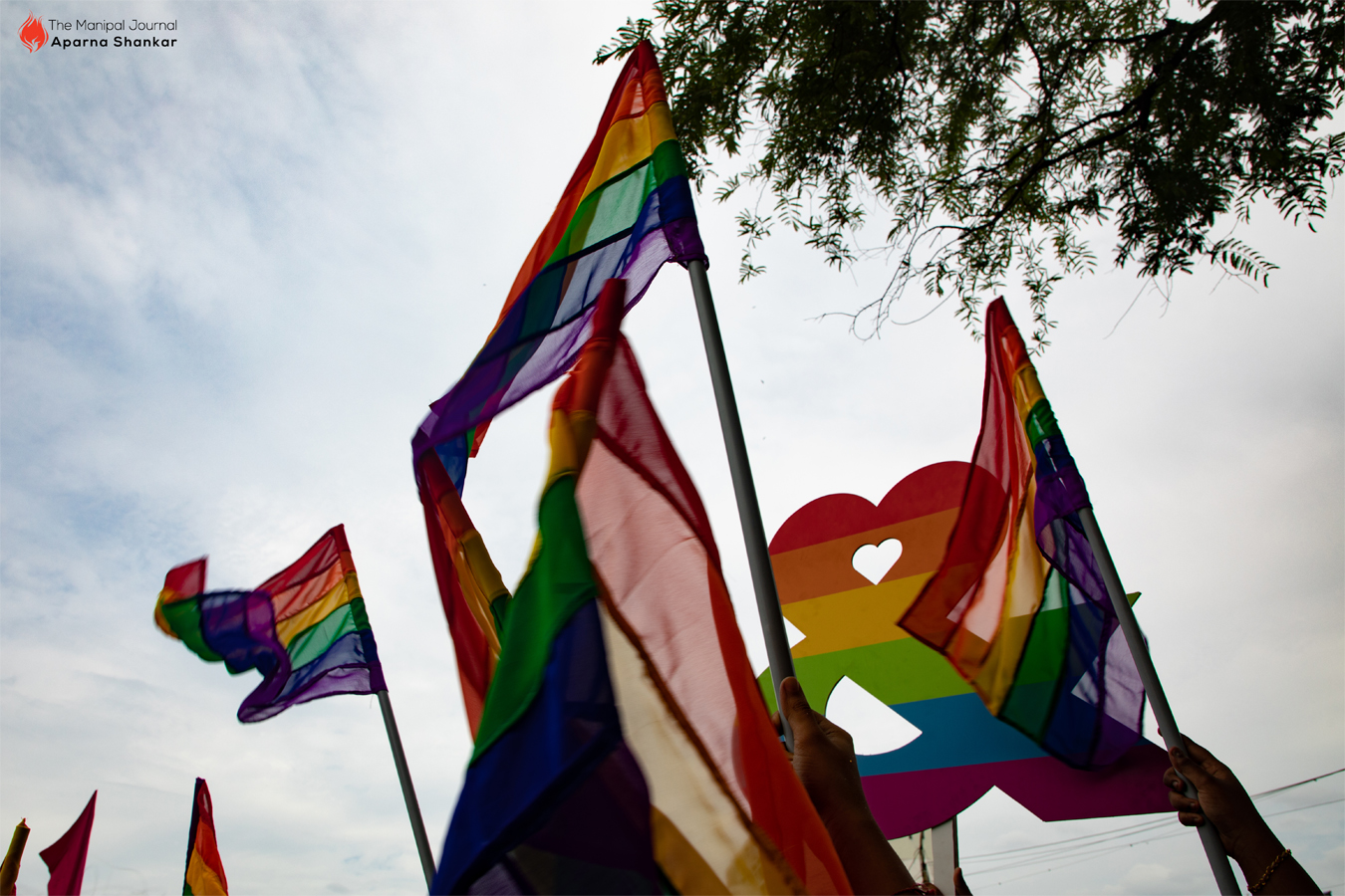 Permitted but persecuted: victims of LGBTQIA+ hate